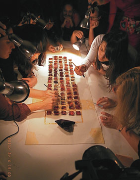 Bartaku - edible panel